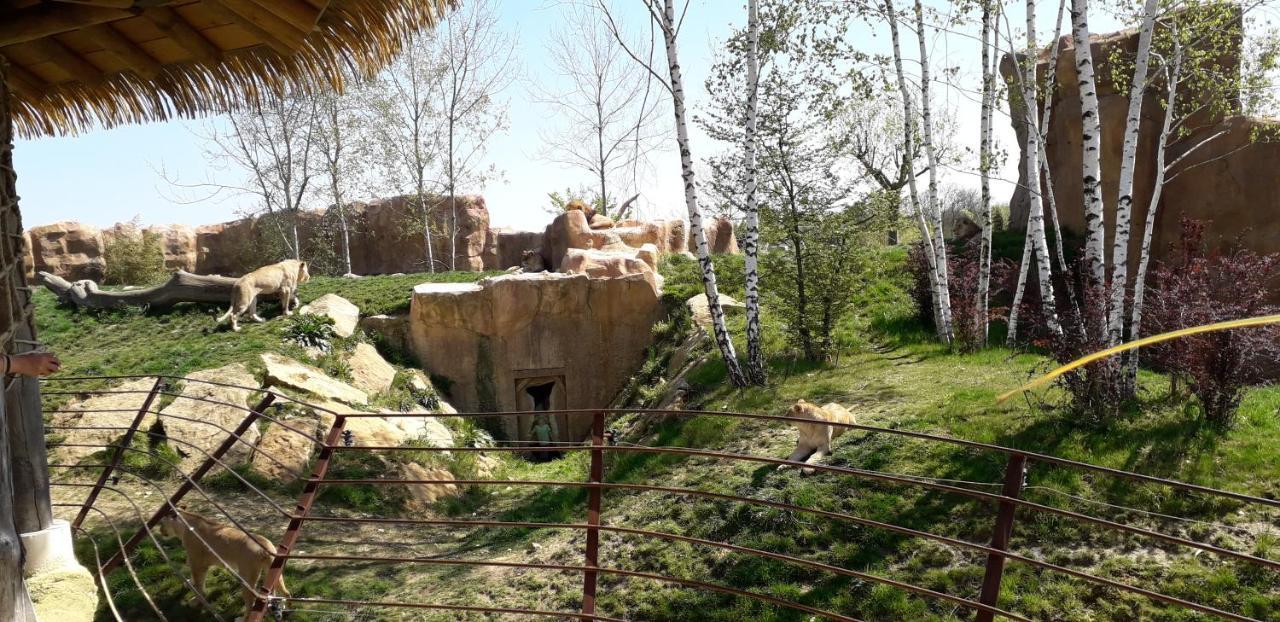 Bed and Breakfast Les Hirondelles Onzain Zewnętrze zdjęcie